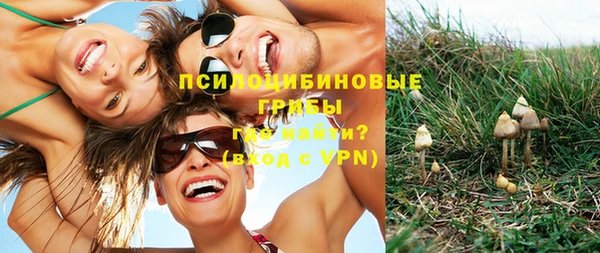 СК Покров