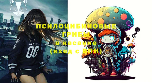 ГАЛЛЮЦИНОГЕННЫЕ ГРИБЫ Покачи