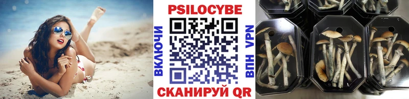 Галлюциногенные грибы GOLDEN TEACHER  mega ONION  Новопавловск  хочу наркоту 